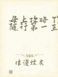 母上攻略 竹影随行第一主板