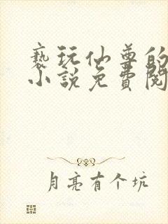 亵玩仙尊的道侣小说免费阅读