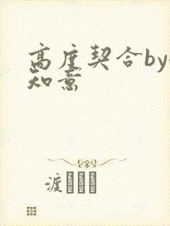 高度契合by洛知意封面