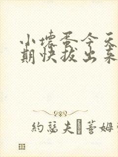 小坏蛋今天危险期快拔出来