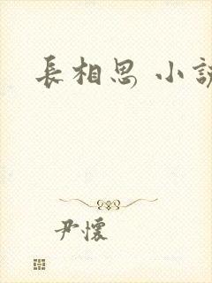 长相思 小说