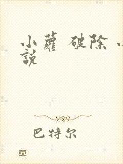 小萝 破除 小说