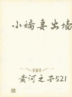 小娇妻出墙记