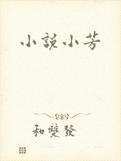 小说小芳