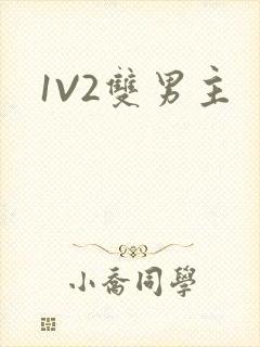 1V2双男主