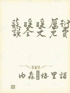 苏暖暖厉衍琛小说全文免费阅读