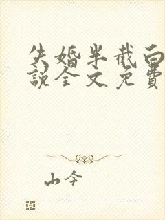 失婚半截白菜小说全文免费阅读