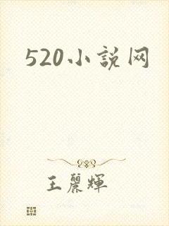 520小说网