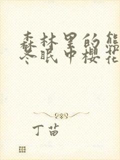 森林里的熊先生冬眠中樱花动漫