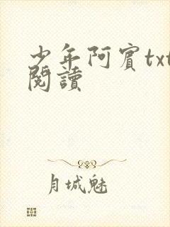 少年阿宾txt阅读