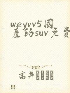 weyvv5国产的suv免费