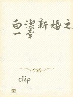 白洁新婚之夜第一章