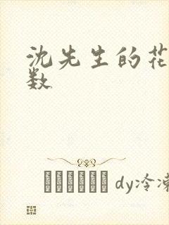 沈先生的花式调数