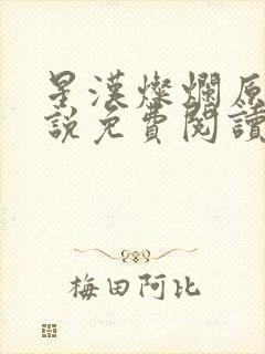 星汉灿烂原著小说免费阅读