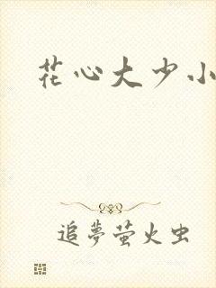 花心大少小说封面