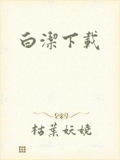 《白洁下载》小说封面