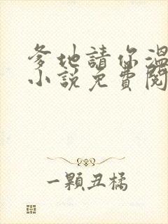 爹地请你温柔点小说免费阅读