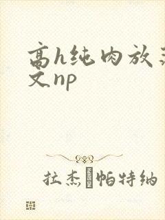 高h纯肉放荡h文np