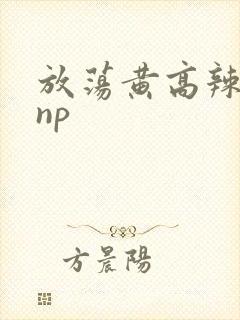放荡黄高辣h文np