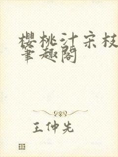 樱桃汁宋枝江野笔趣阁