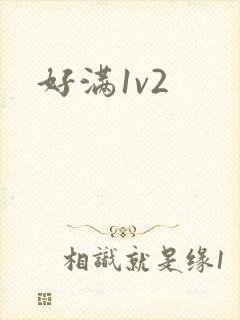 好满1v2