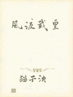 风流武皇