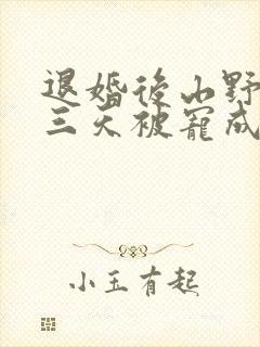 退婚后山野糙汉三天被宠成宝小说