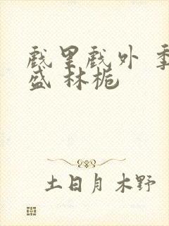 戏里戏外 季淮盛 林栀