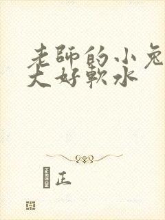 老师的小兔子好大好软水