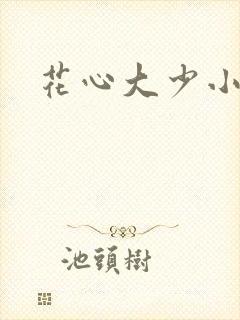 花心大少小说