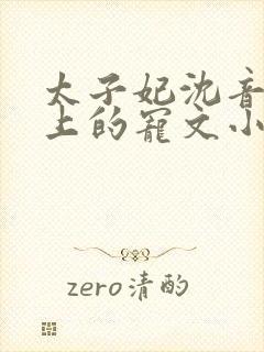 太子妃沈音和皇上的宠文小说