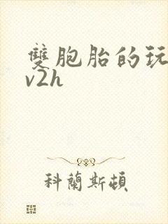 双胞胎的玩具1v2h