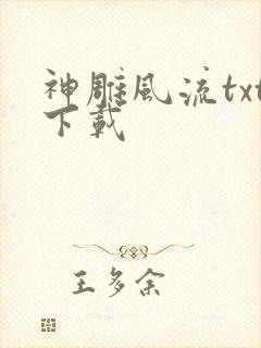 神雕风流txt下载