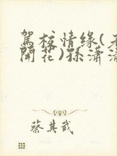 驾校情缘(老树开花)孙潇潇笔趣阁