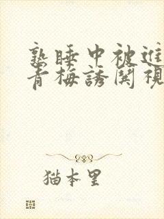 熟睡中被进了H青梅诱哄视频