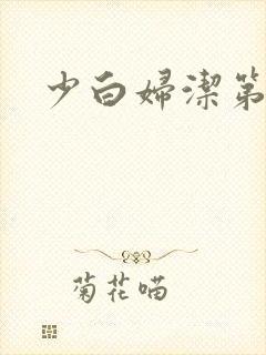 少白妇洁第二部