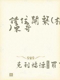 错位关系(校园)东哥