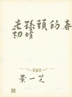 老孙头的春天林初晴