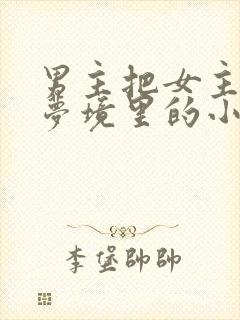 男主把女主拖进梦境里的小说