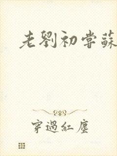 老刘初尝苏荷媳