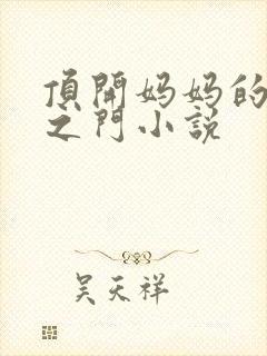 顶开妈妈的生命之门小说封面