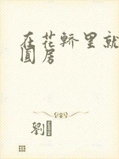 在花轿里就开始圆房