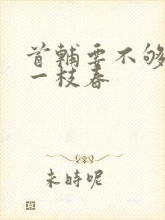 首辅要不够po一枝春