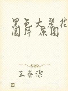 黑色大丽花真实图片 原图