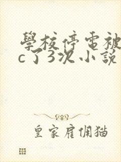 学校停电被同桌c了3次小说