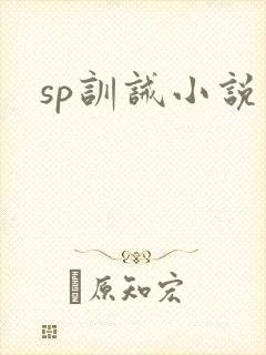 sp训诫小说