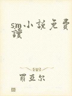 sm小说免费阅读