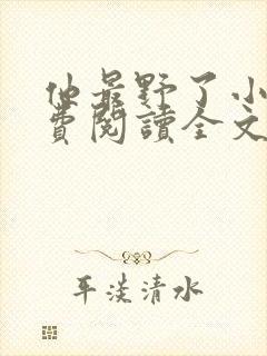 他最野了小说免费阅读全文