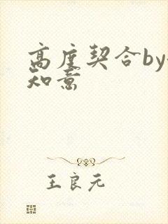 高度契合by洛知意