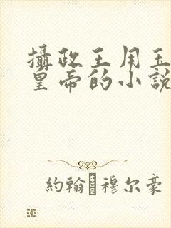 摄政王用玉髓整皇帝的小说